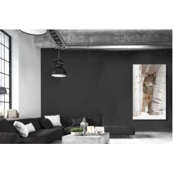 Loup 60X90 cm Dibond sans encadrement