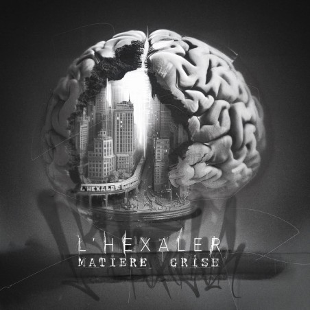 L'HEXALER "MATIÈRE GRISE" Vinyle