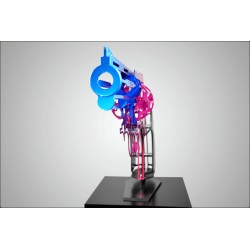 Arc-en-ciel de revolver